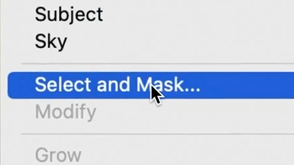 Access Select and Mask