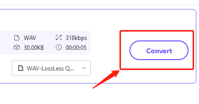 Haga clic en el botón "Convertir" para iniciar el proceso de conversión.