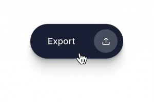 export video