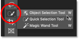 Select the Area with Quick Selection Tool